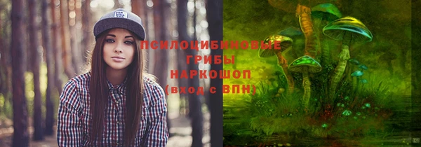 мяу мяу мука Абдулино